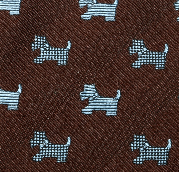 Brown Teenager's Tie
