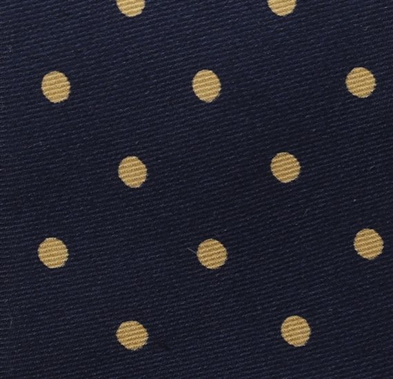 Blue Silk Teenager's Tie