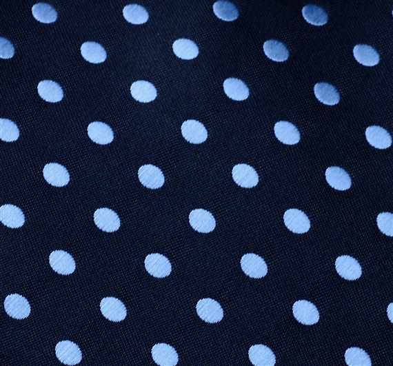 Siena 35 Dots Tie