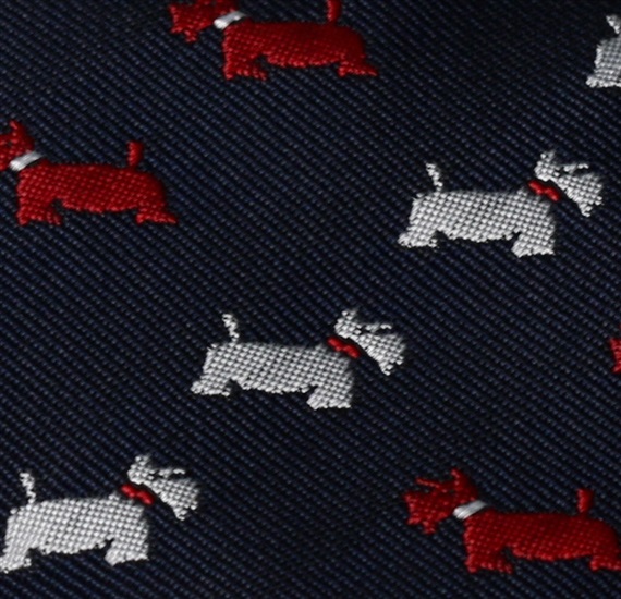 Blue Boy's Tie