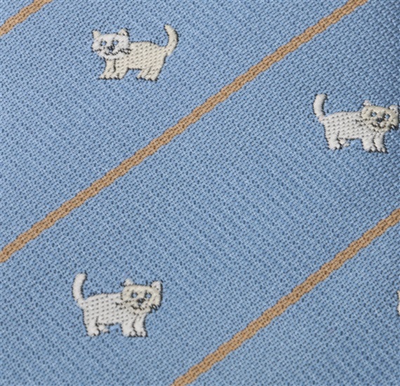 Blue Boy's Tie