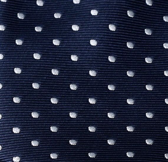 Blue Boy's Tie with Dots