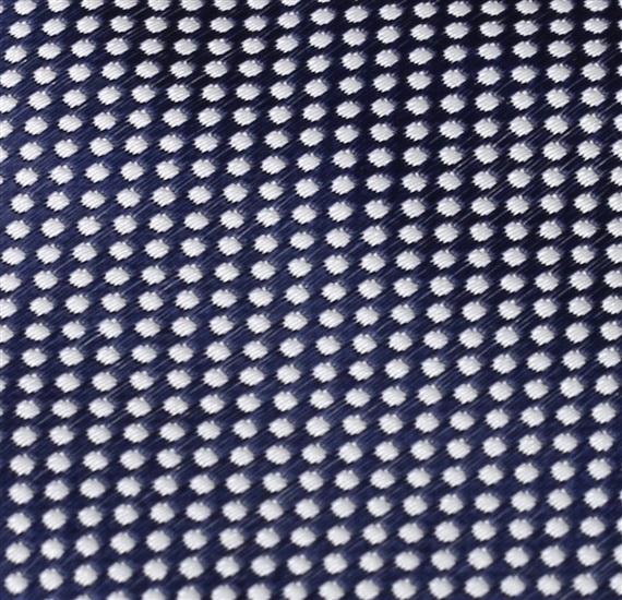Blue Boy's Tie with Dots