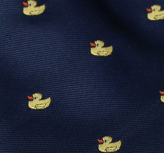 Blue Boy's Tie with Ducks