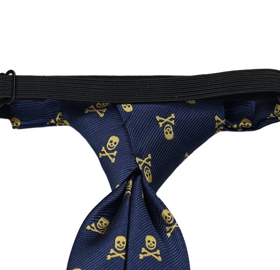 Boy's Tie with Skulls Reverse