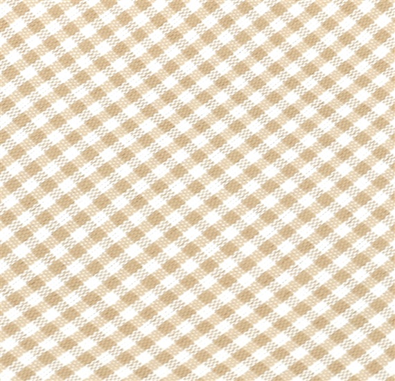 Vichy-Check Boy's Tie