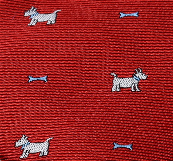 Garnet Boy's Tie