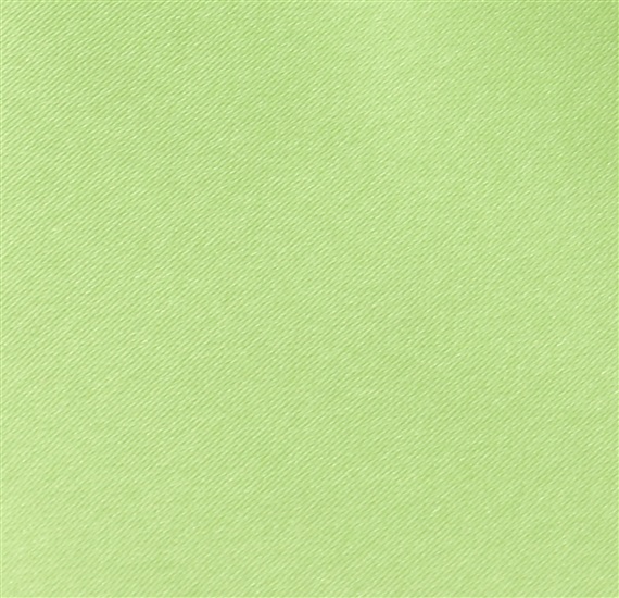 Green Boy's Tie
