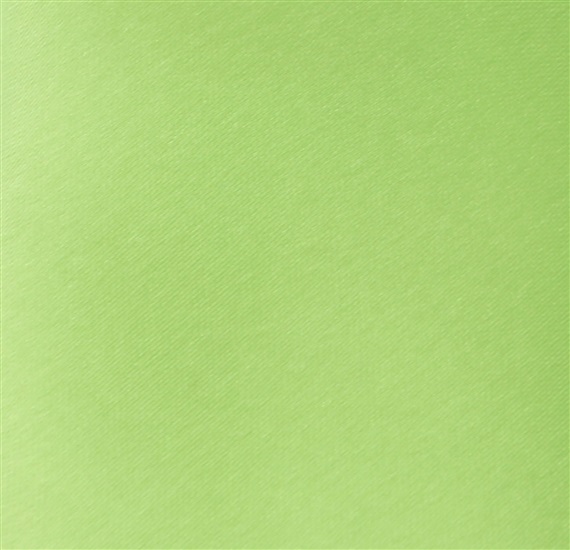 Green Boy's Tie