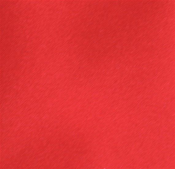 Red Baby's tie