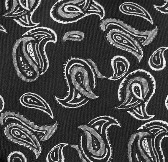 Siena 73 Paisley Tie
