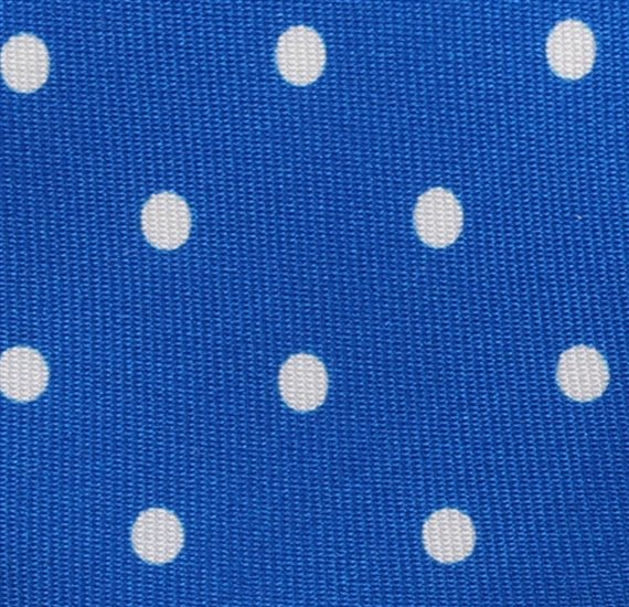 Royal Blue Silk Teenager's Tie