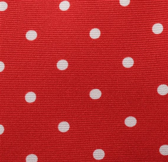 Red Silk Teenager's Tie
