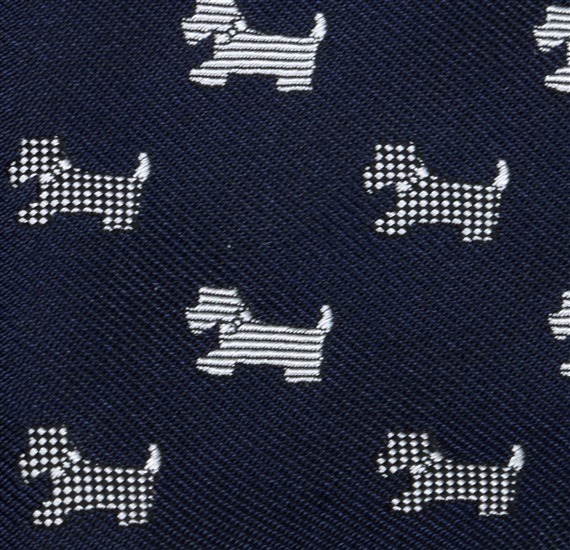 Blue Boy's Tie