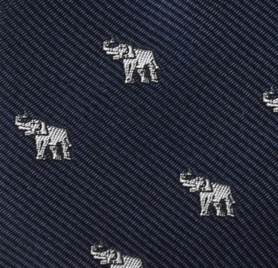 Blue Boy's Tie