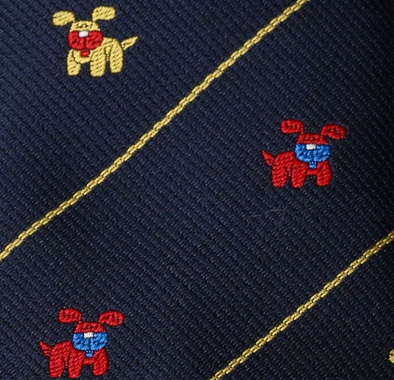 Blue Boy's Tie