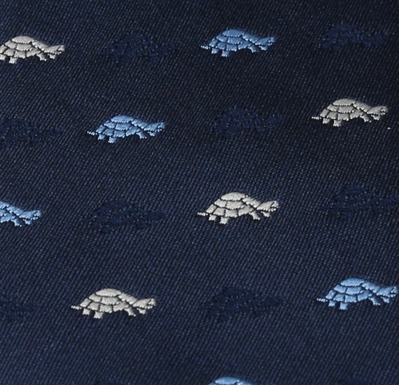 Blue Boy's Tie with Turtles
