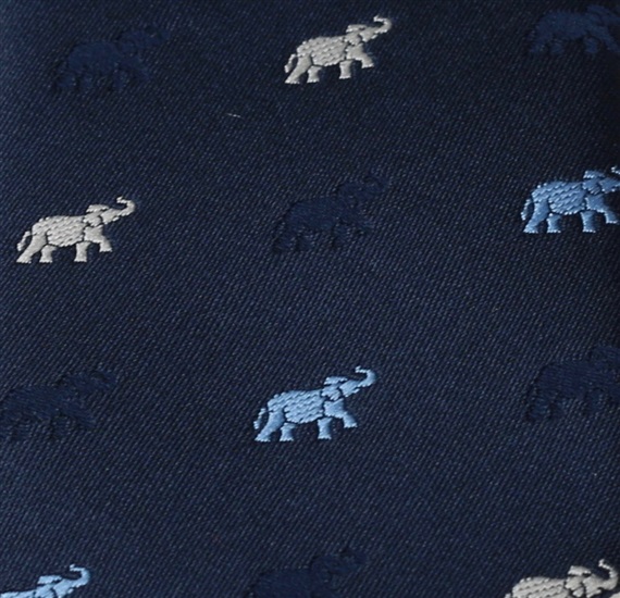 Blue Boy's Tie
