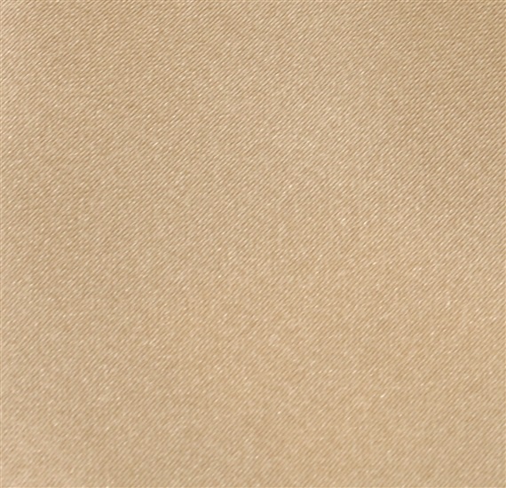 Beige Boy's Tie