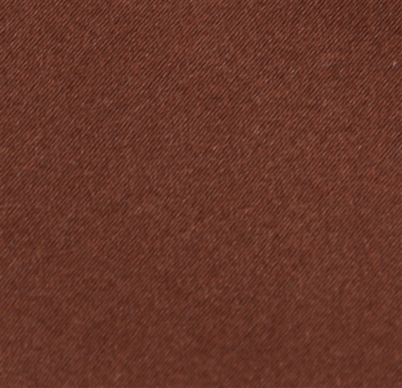 Brown Boy's Tie