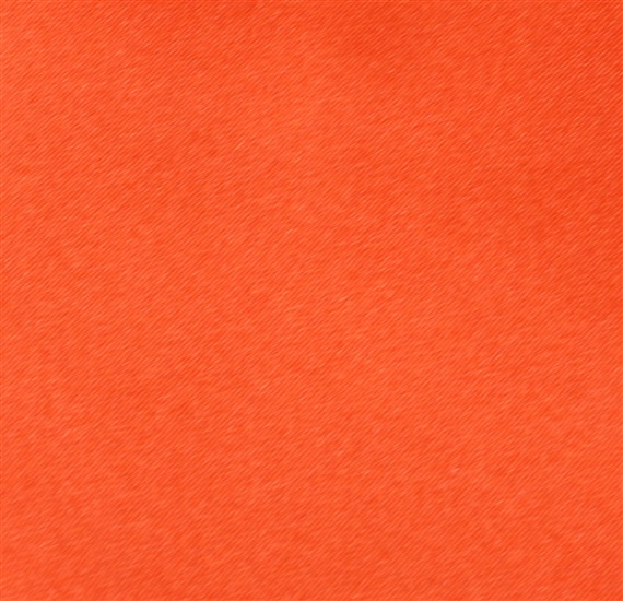 Orange Boy's Tie