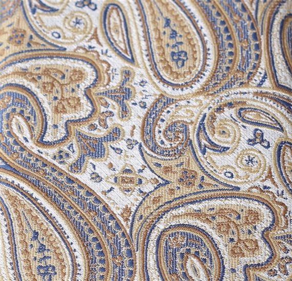 Ocher Boy's Ties with Paisley