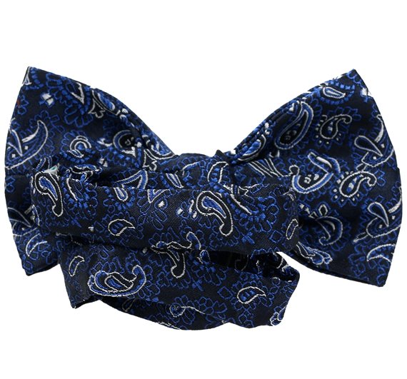Deep Blue Bow Tie with Paisley