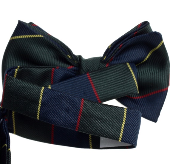 Silk Baby's Bow Tie