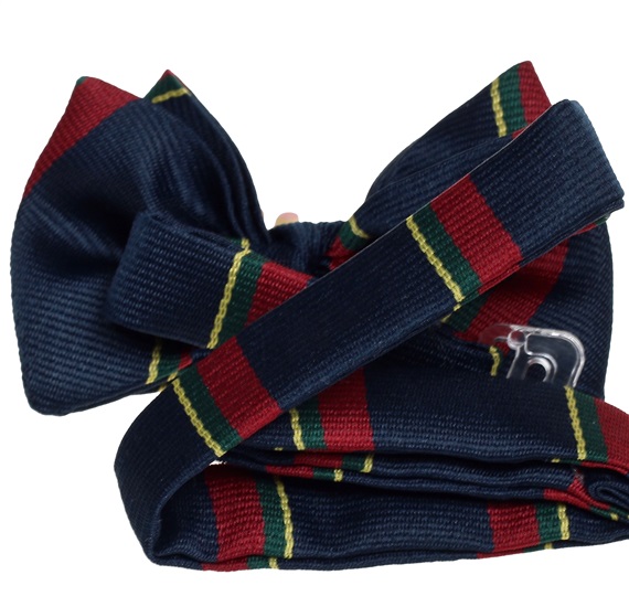 Silk Baby's Bow Tie