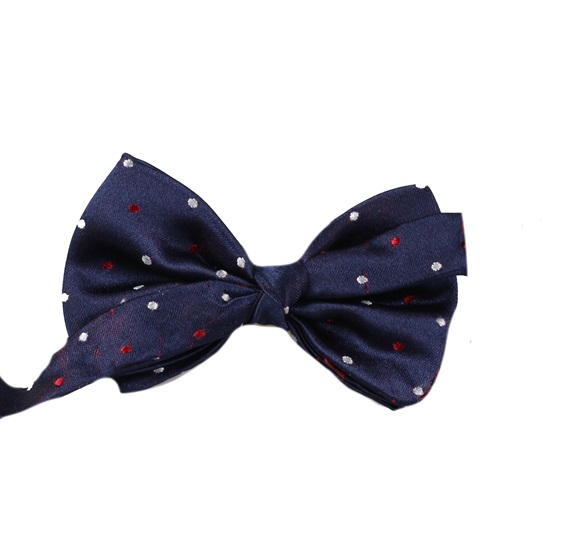 Silk Baby's Bow Tie