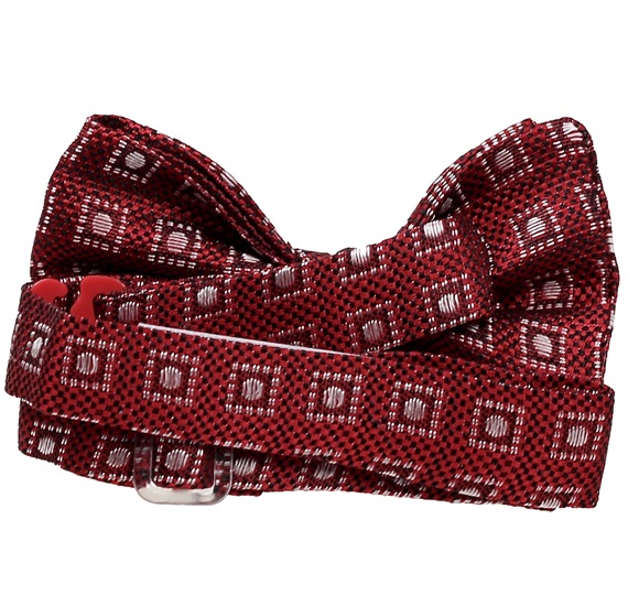 Garnet Silk Baby's Bow Tie