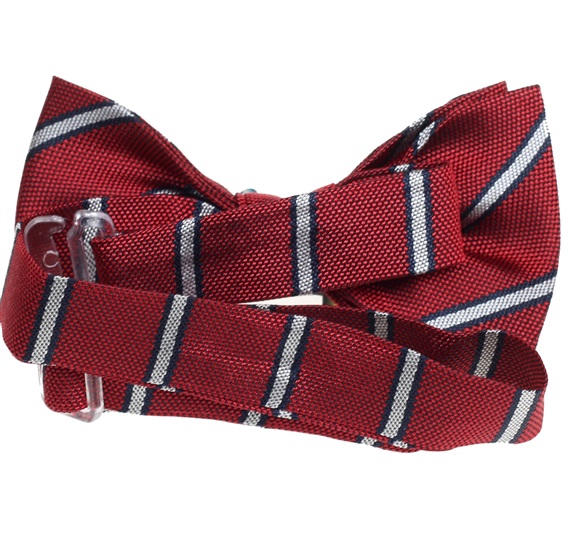 Garnet Silk Baby's Bow Tie