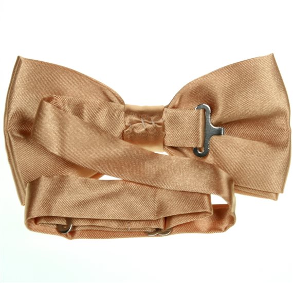 Camel Bow Tie Reverse