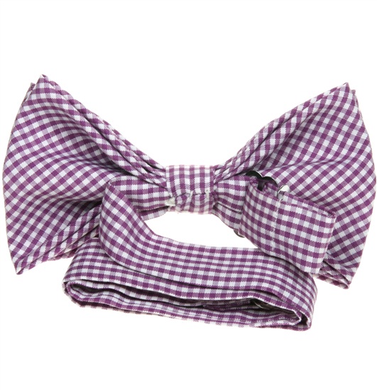 Vichy Checked Bow tie