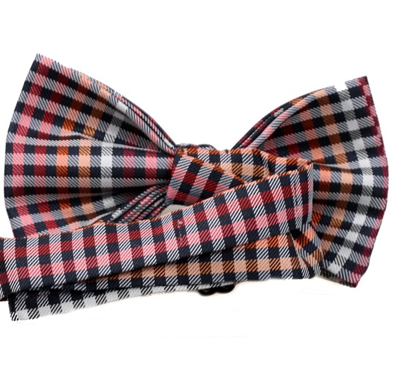 Vichy Checks Bow Tie