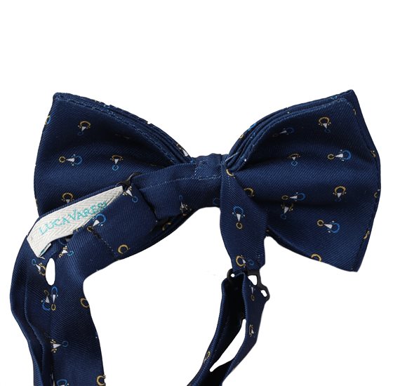 Bow Tie with Paisley