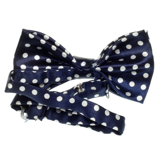 Boy's Blue Bow Tie