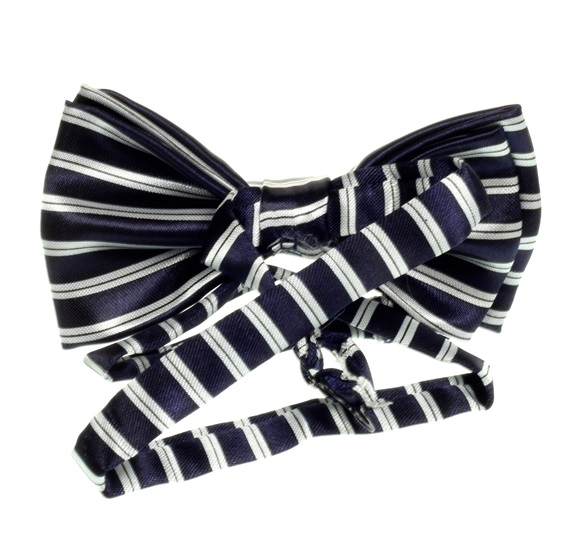 Boy's Blue Bow Tie
