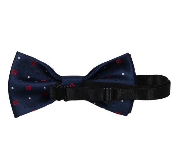 Boy's Blue Bow Tie