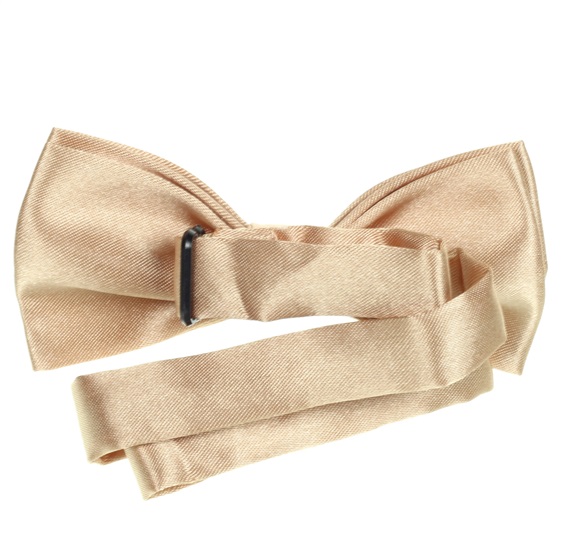 Boy's Beige Bow Tie