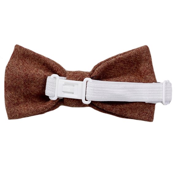 Boy's Camel Bow Tie