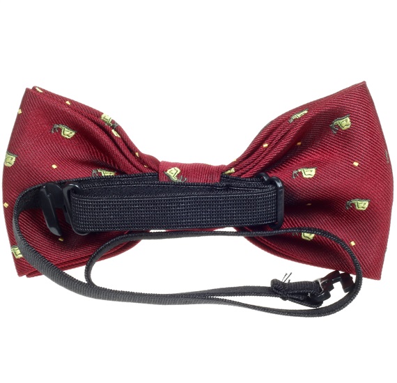 Boy's Bow Tie