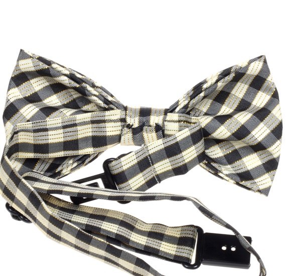 Boy's Vichy Checked Bow Tie