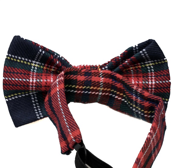 Boy's Tartan Bow Tie