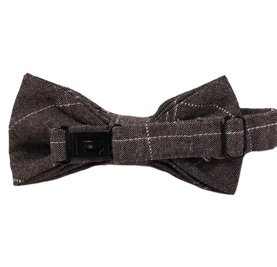 Boy's Bow Tie