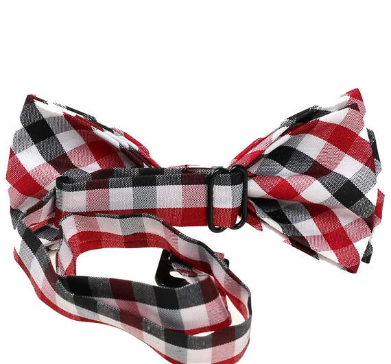 Boy's Checked Vichy Bow Tie