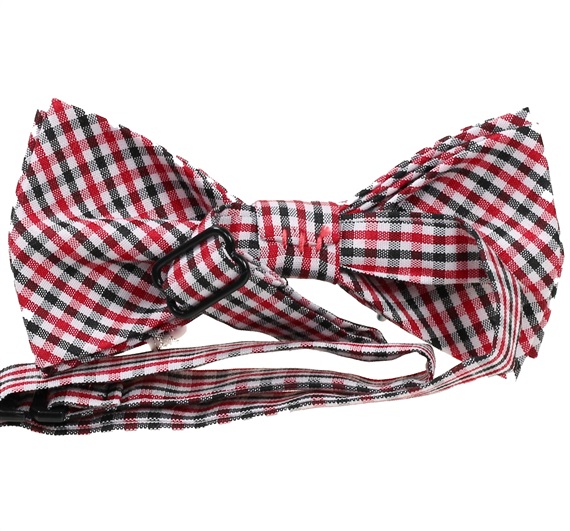 Boy's Vichy Checked Bow Tie