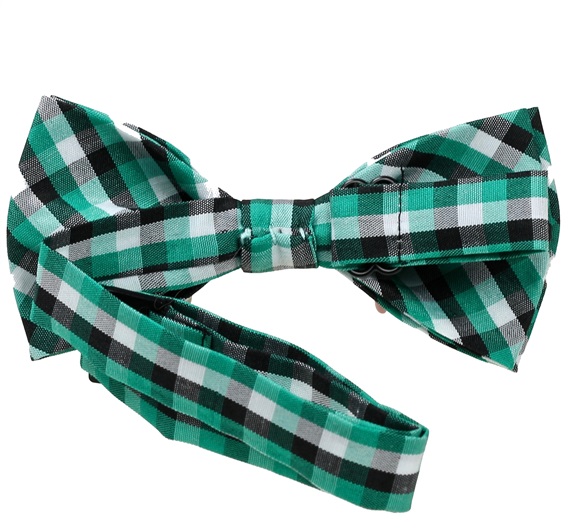 Boy's Vichy Checked Bow Tie