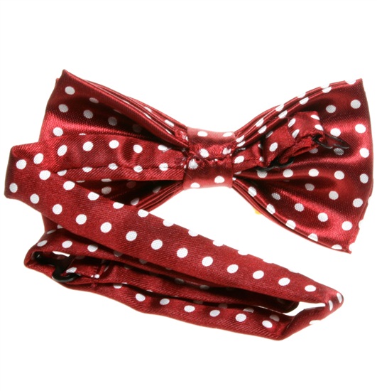 Boy's Garnet Bow Tie