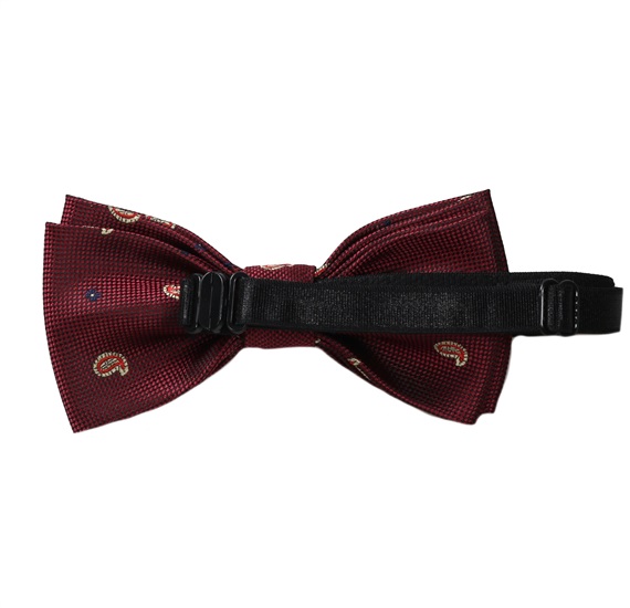 Boy's Garnet Bow Tie